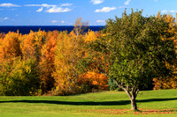 The Epitome of Fall-3258