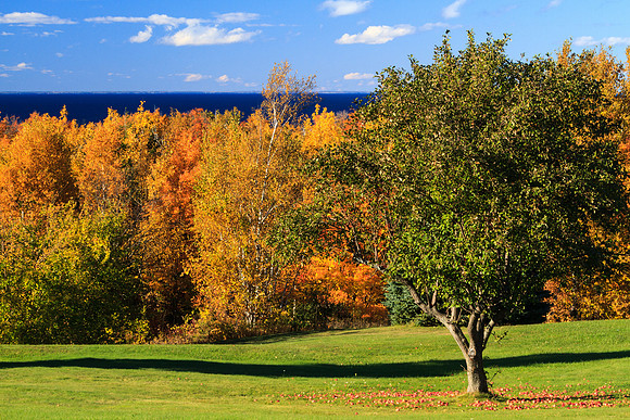 The Epitome of Fall-3258