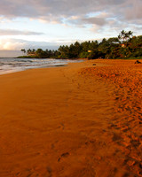 Secret Beach-0103
