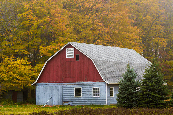 Door County Barn in Fog-6782