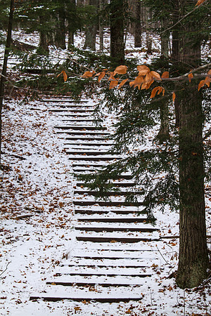 Stairway to Winter-6885