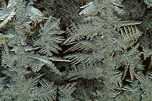 Natures Window Art-6913