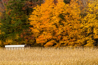 Harvest Time-6814