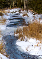 Reiboldts Creek in Winter-7132