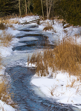 Reiboldts Creek in Winter-7132