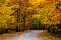 Winding Fall Road-6789