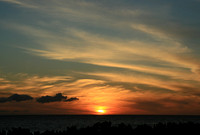 IMG_4569_Edited